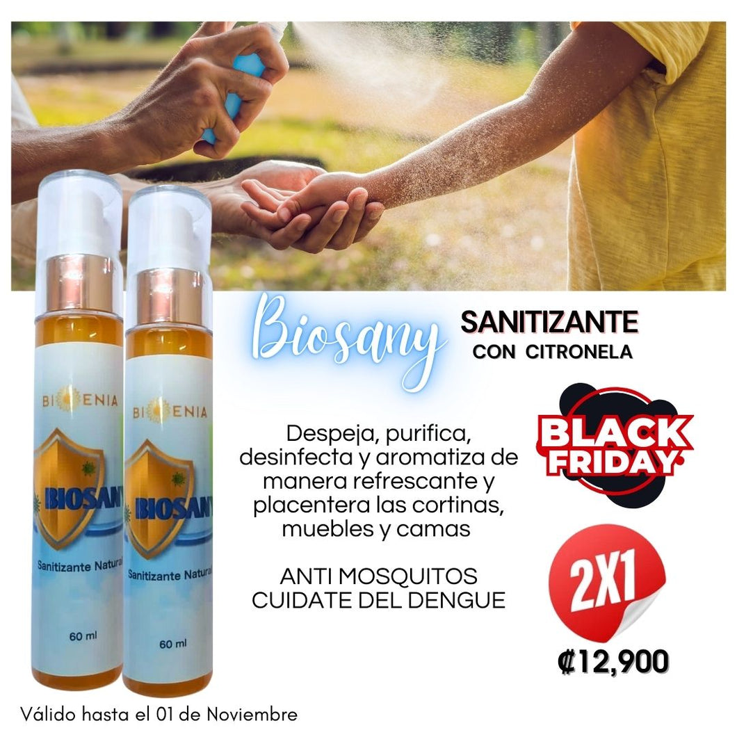 Bio Sany (Sanitizante) 2x1